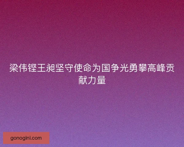 梁伟铿王昶坚守使命为国争光勇攀高峰贡献力量