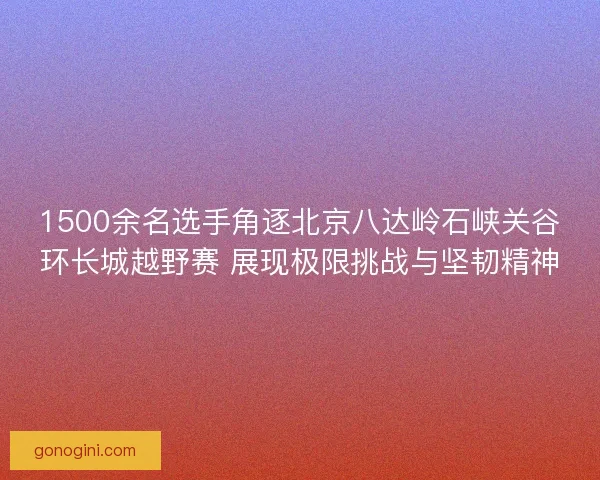 1500余名选手角逐北京八达岭石峡关谷环长城越野赛 展现极限挑战与坚韧精神
