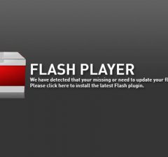 informasi cara cek flash player terkini
